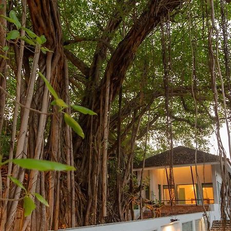 White Banyan Beach Villa, Candolim By The Acacia Villas Exteriér fotografie