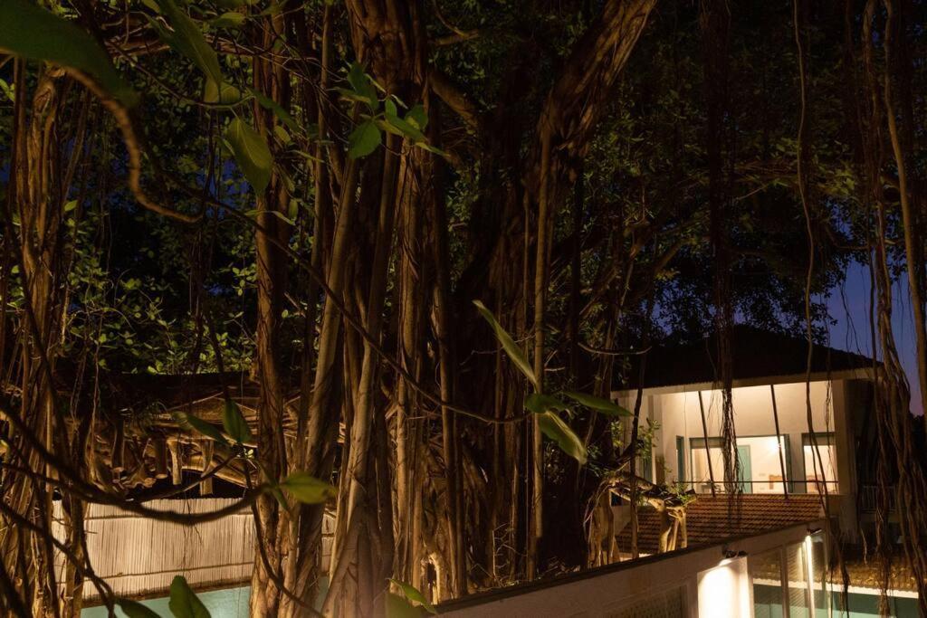 White Banyan Beach Villa, Candolim By The Acacia Villas Exteriér fotografie