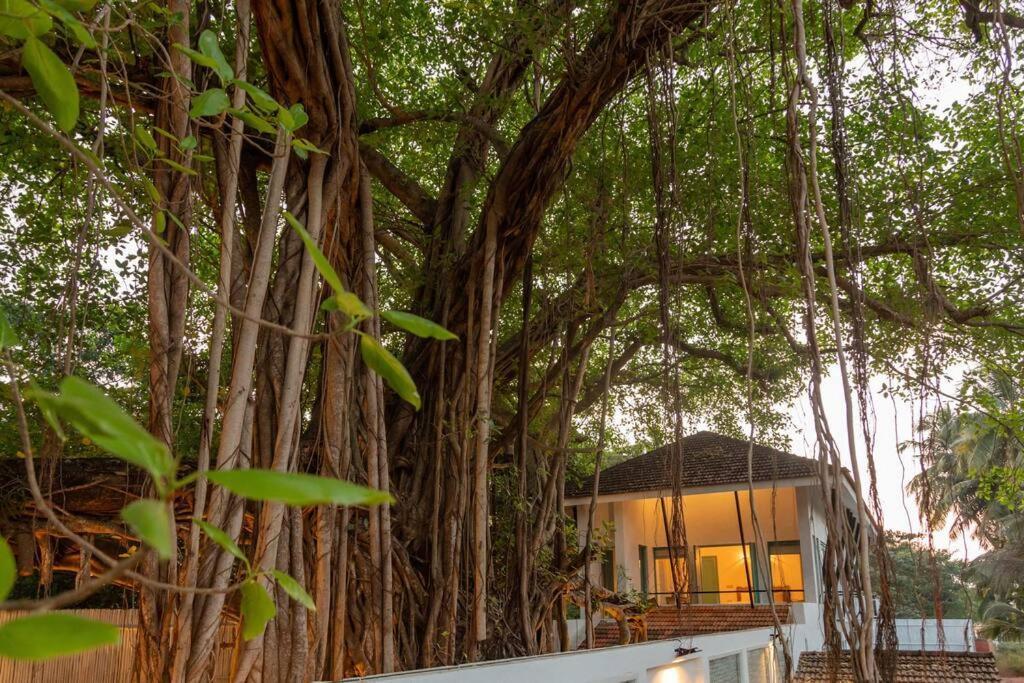 White Banyan Beach Villa, Candolim By The Acacia Villas Exteriér fotografie