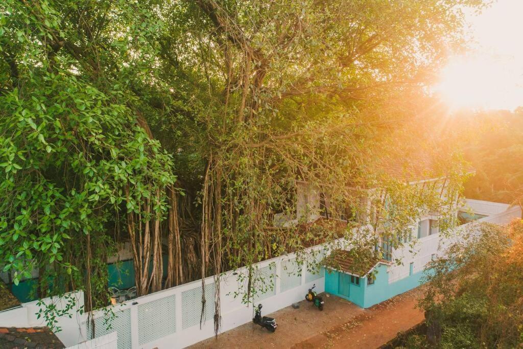 White Banyan Beach Villa, Candolim By The Acacia Villas Exteriér fotografie
